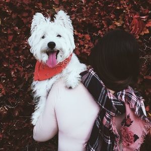 Meet your Posher, Melany